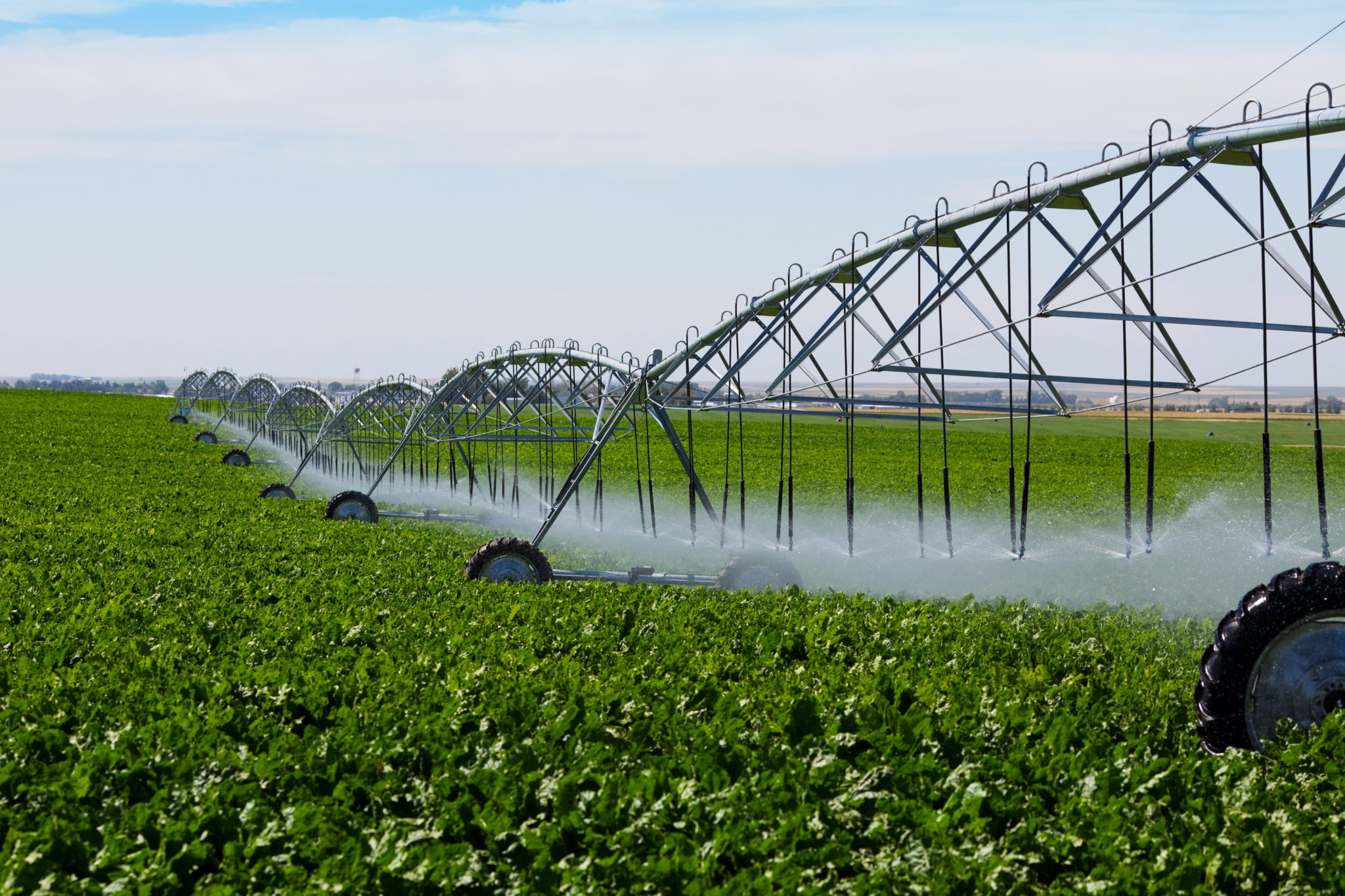 Irrigation Pivot watering a field